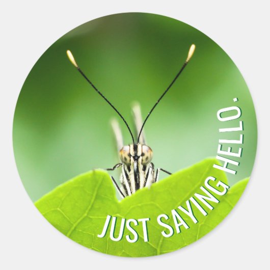 全おもしろい大事な行事動物蝶シール ラウンドシール (正面)