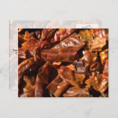 全くのチリ ポストカード (正面/裏面)