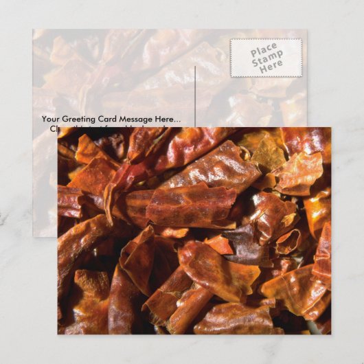 全くのチリ ポストカード (正面/裏面)