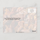 全くのチリ ポストカード (裏面)