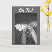 全く不可能ではない「50番目」のユーモア カード (黄色い花)