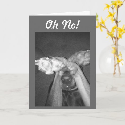 全く不可能ではない「50番目」のユーモア カード (黄色い花)