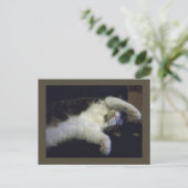 全く子どもっぽいポストカード ポストカード (スタンド正面)