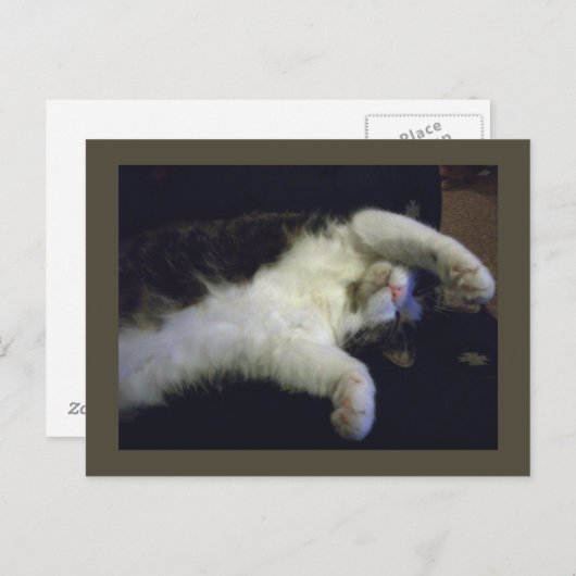 全く子どもっぽいポストカード ポストカード (正面/裏面)