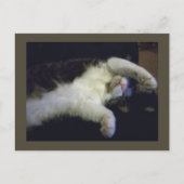 全く子どもっぽいポストカード ポストカード (正面)