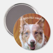 「全く宗教的だ!」 マグネット (正面/裏面)