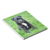 全く愛らしい子犬 ノートパッド (アングル)