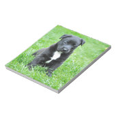 全く愛らしい子犬 ノートパッド (回転)