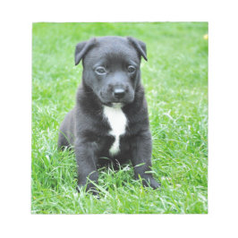 全く愛らしい子犬 ノートパッド