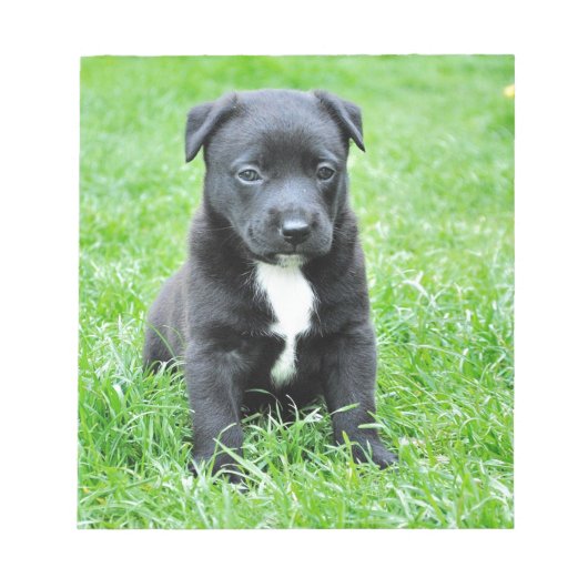 全く愛らしい子犬 ノートパッド (正面)