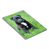 全く愛らしい子犬 ノートブック (右側)