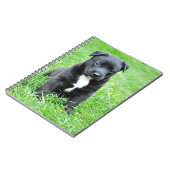 全く愛らしい子犬 ノートブック (左側)