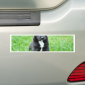 全く愛らしい子犬 バンパーステッカー (車上)