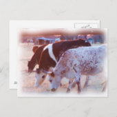 全く駄目だ ポストカード (正面/裏面)