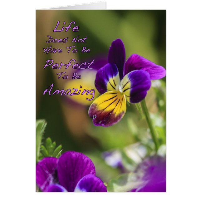 全く驚くべき人生 (正面)