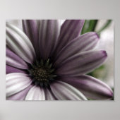 全く ポスター (正面)