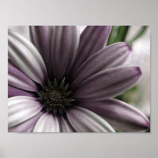 全く ポスター (正面)