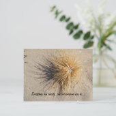 全てに美しいがあるが… ポストカード (スタンド正面)