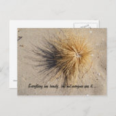 全てに美しいがあるが… ポストカード (正面/裏面)