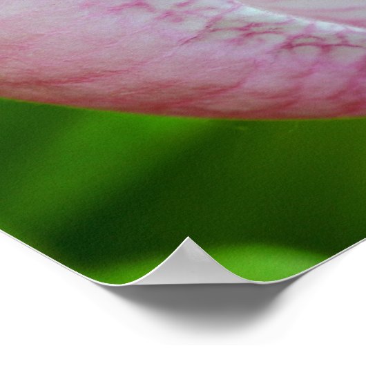 全てのことを可能に感動的して ポスター (角)