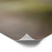 全てポピー ポスター (角)