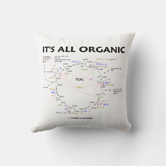 全クレブオーガニックス回路のクエン酸回路 クッション (裏面)