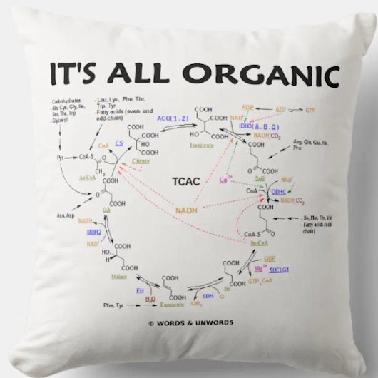 全クレブオーガニックス回路のクエン酸回路 クッション