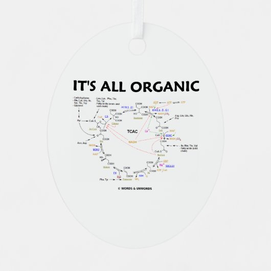 全クレブオーガニックス回路のクエン酸回路 メタルオーナメント (正面)