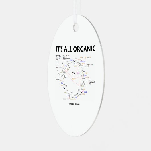 全クレブオーガニックス回路のクエン酸回路 メタルオーナメント (正面左)