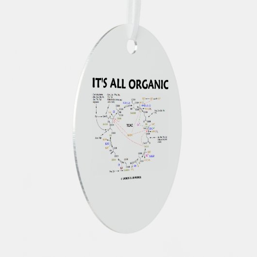 全クレブオーガニックス回路のクエン酸回路 メタルオーナメント (正面右)