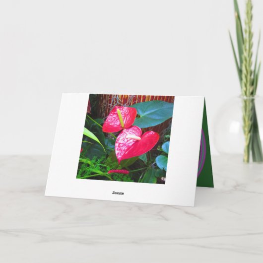 全プリントの記念日の挨拶状 カード (裏面)