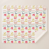 全モダンカラフル体が明るい |ハッピーホリデー シェルパブランケット (正面(横))