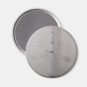 全世界的な地下室のクモ マグネット (正面/裏面)