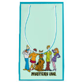 全体集団12 Mystery Inc スモールペーパーバッグ (正面)