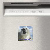 全保護竪琴の封印！かわいいワイルドライフマグネット マグネット (インサイチュ (食洗機))