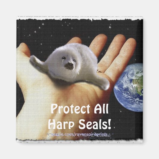 全保護竪琴の封印！ワイルドライフマグネット マグネット (正面)