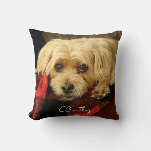 全写真枕|緑のプレイド クッション (正面)