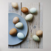 全卵 ポスター (正面)