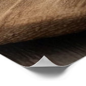 全国分割の日 ポスター (角)