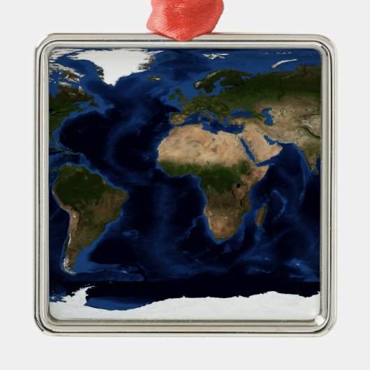 全地球の地形および地形シェーディング メタルオーナメント (正面)