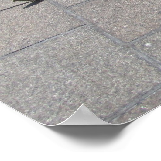 全室だ！ ポスター (角)