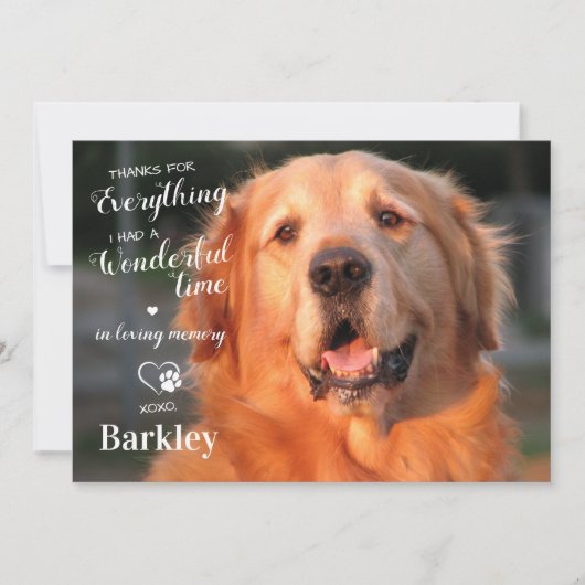全感謝してい体の愛犬の記念写真 サンキューカード (正面)