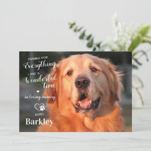 全感謝してい体の愛犬の記念写真 サンキューカード (スタンド正面)
