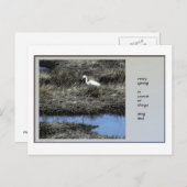 全春俳句はがき ポストカード (正面/裏面)