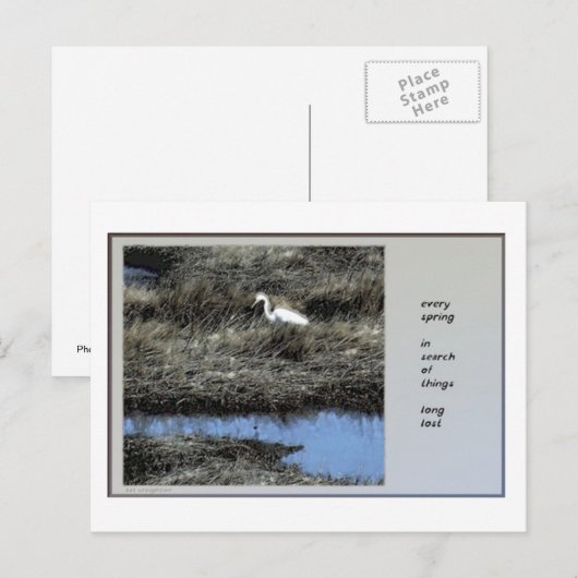 全春俳句はがき ポストカード (正面/裏面)