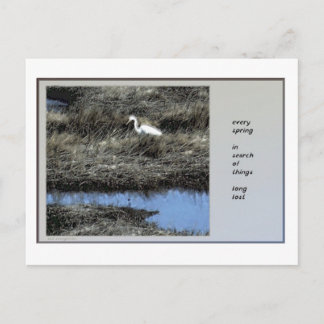 全春俳句はがき ポストカード