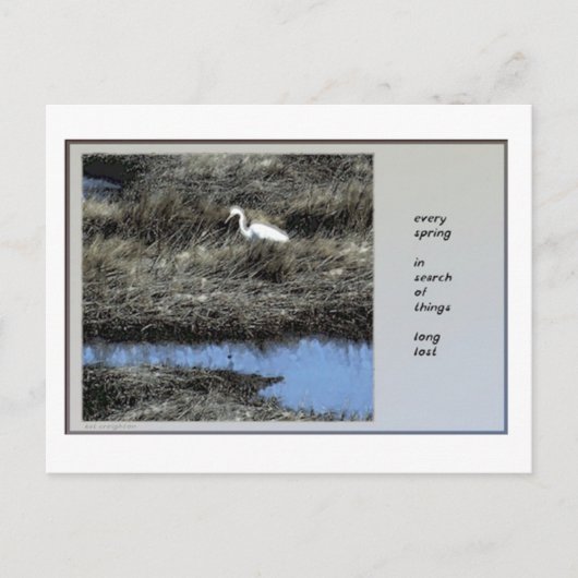 全春俳句はがき ポストカード (正面)