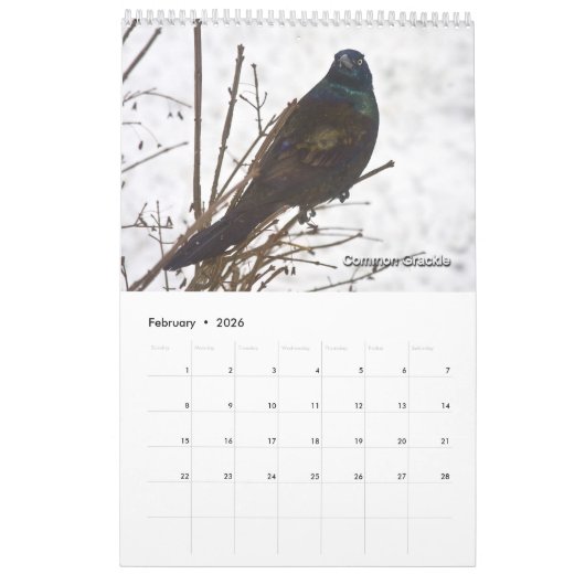 全神のクリッター – カレンダー (2月 2026)