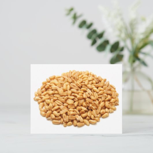 全粒小麦 ポストカード (スタンド正面)