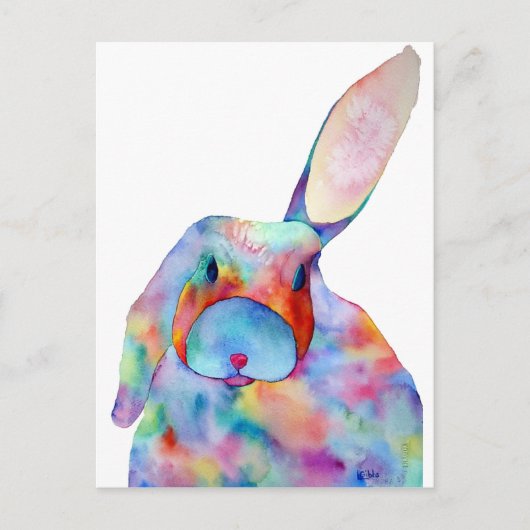 全耳 ポストカード (正面)